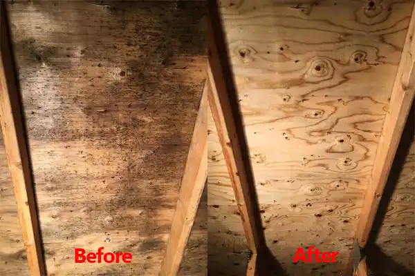 water damage restoration service Franklin Park